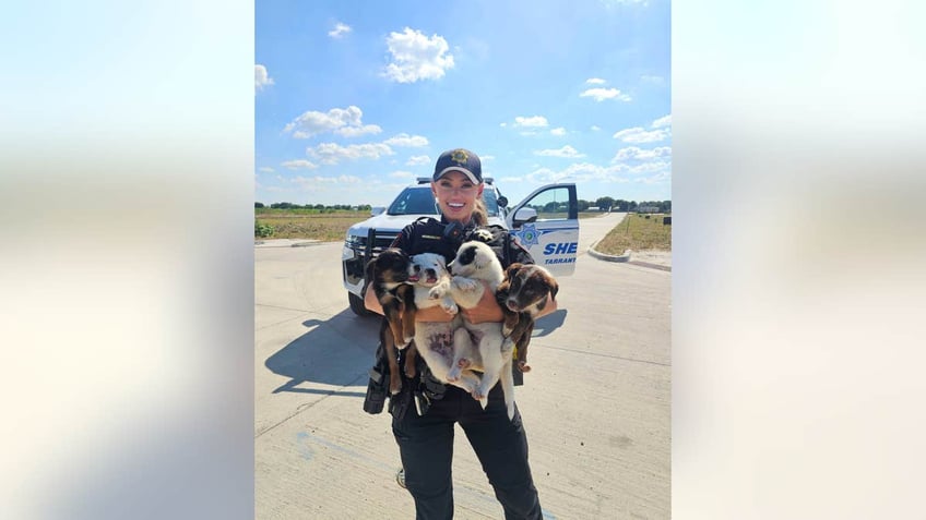 Eight 6-week-old puppies were abandoned without water in 100-degree heat on Monday.