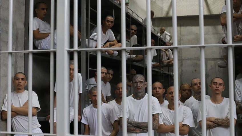 el salvador gradually fills new mega prison with alleged gang members