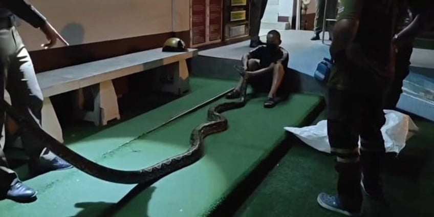 elderly man bites snake that had wrapped his leg while sleeping felt like i was going to die