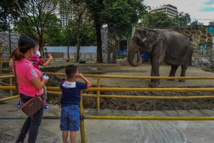 elephant at centre of animal rights campaign dies in philippine zoo