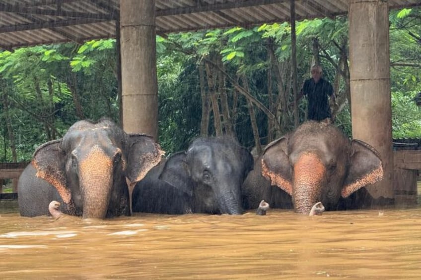 More than 100 elephants had to be evacuated from a sanctuary in Thailand due to rising flo