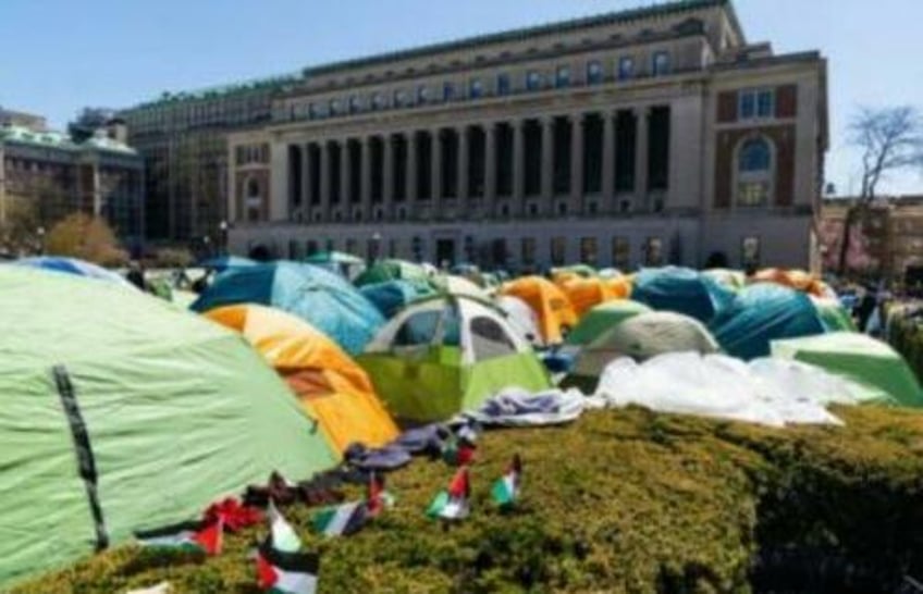 elite colleges more likely to have tent cities research confirms
