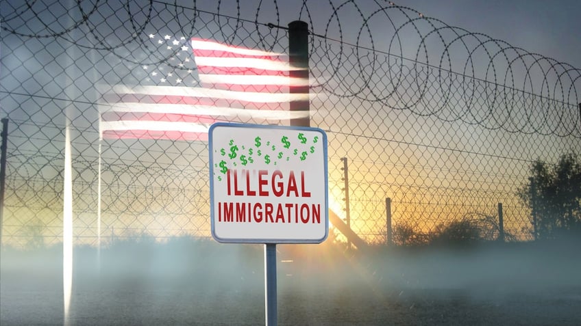 Illegal immigration