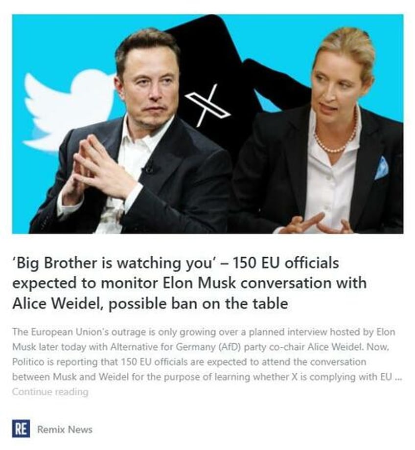 elon musk and alice weidel how common sense politics can save germany