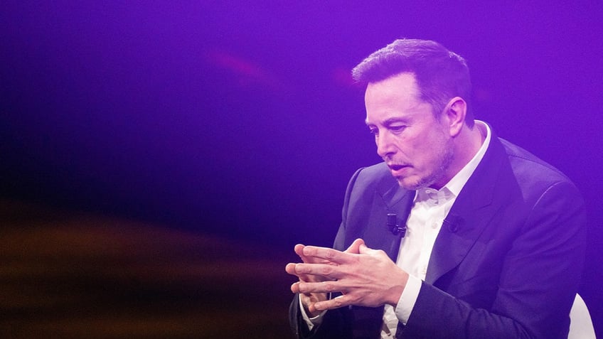 elon musk says he supports a border wall and that migrants must have a shred of evidence to receive asylum