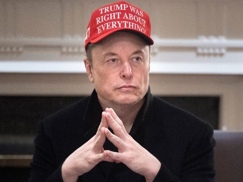 Elon Musk wearing a Trump hat before turning on the President
