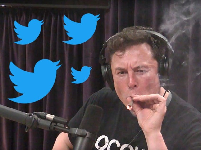 elon musks major rebranding twitter name will change to x bird symbols to disappear