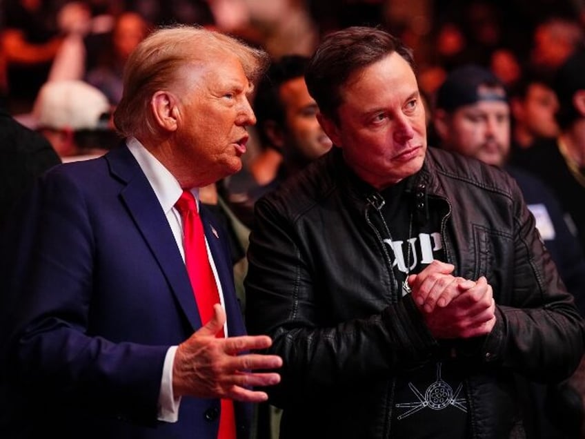 Donald Trump and Elon Musk at UFC