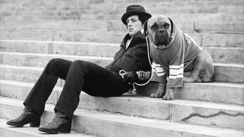 Sylvester Stallone on Philadelphia steps with his dog.