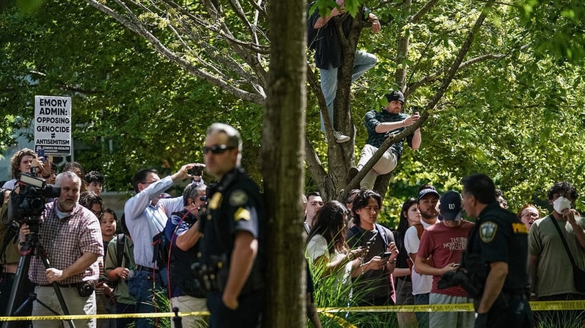 anti-Israel protesters climb a tree in Atlanta