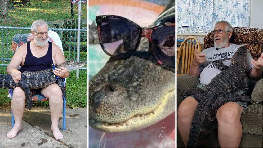 emotional service alligator denied entry into phillies game reports