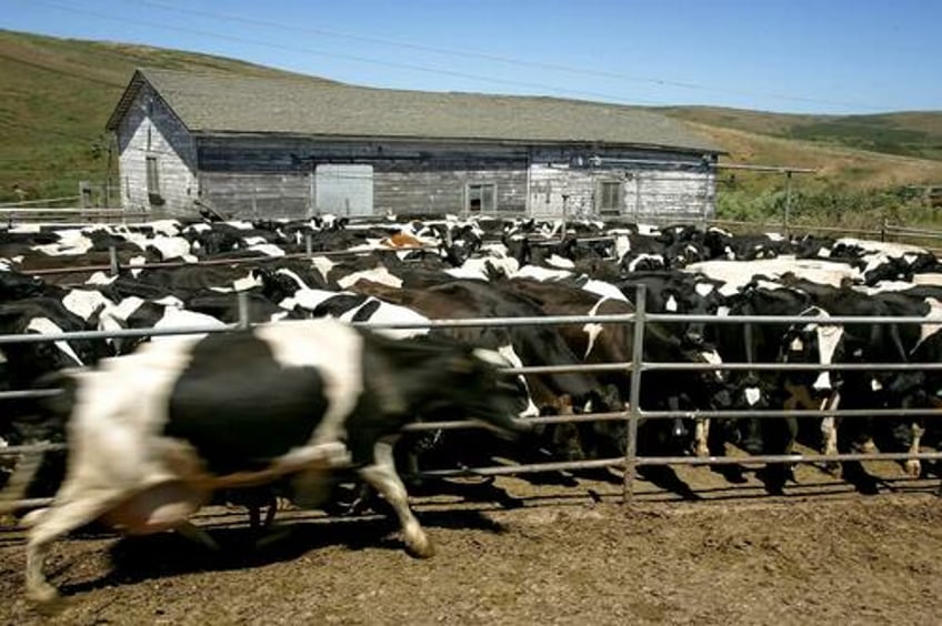 end of ranching in iconic california community signals bigger war on land use in west