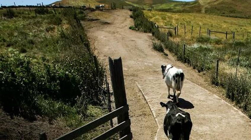 end of ranching in iconic california community signals bigger war on land use in west