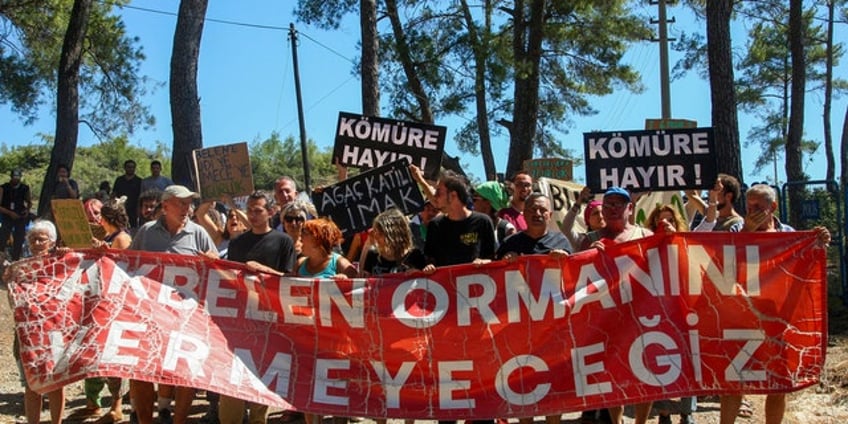 environmental campaigners vow to persist as tree felling for coal mining in turkish woodlands concludes