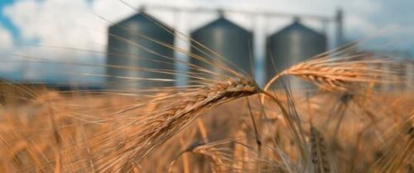 european commission grapples with influx of ukraine grain