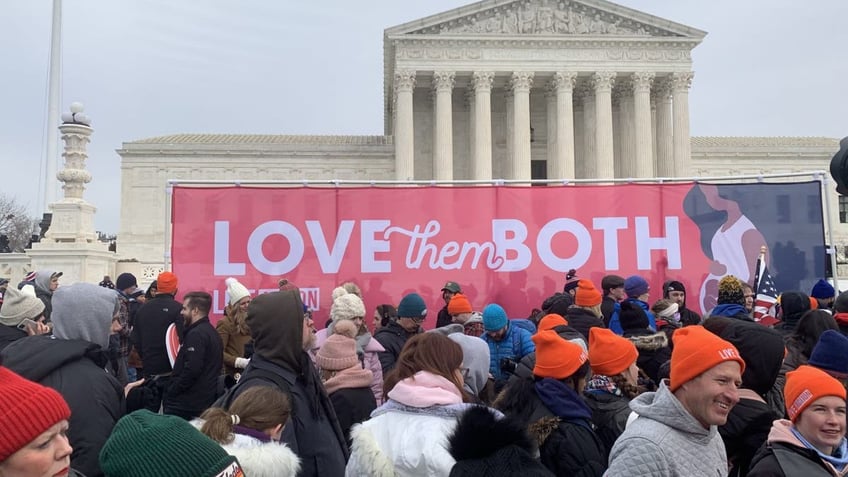 March For Life sign reads "Love Them Both," in Washington, D.C., on Jan. 21, 2022. (Fox News Digital)