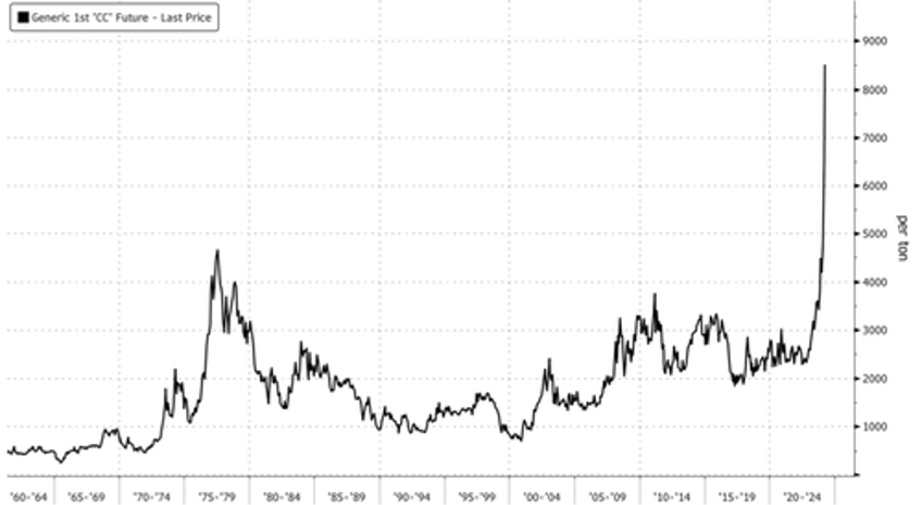 everyone is panicking major cocoa processor scrambles to find beans as prices hyperinflate