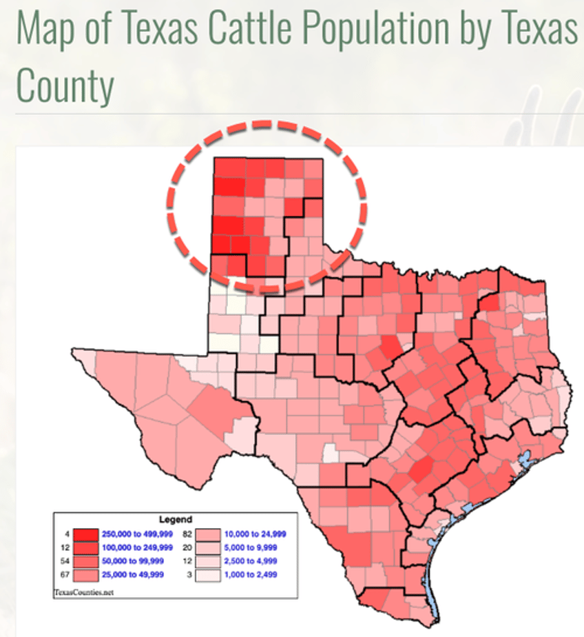 everything is gone texas wildfire ravages americas cattle mecca 