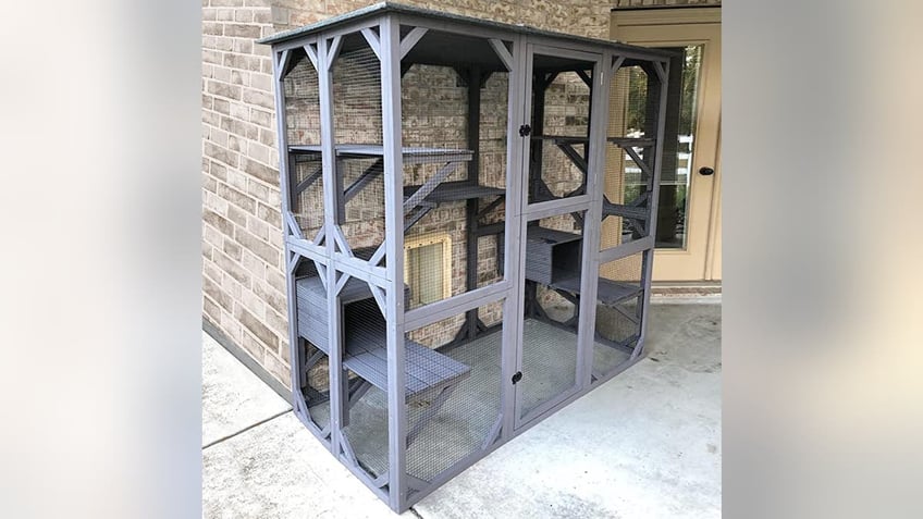 For added safety, get a catio that attaches to your home. 