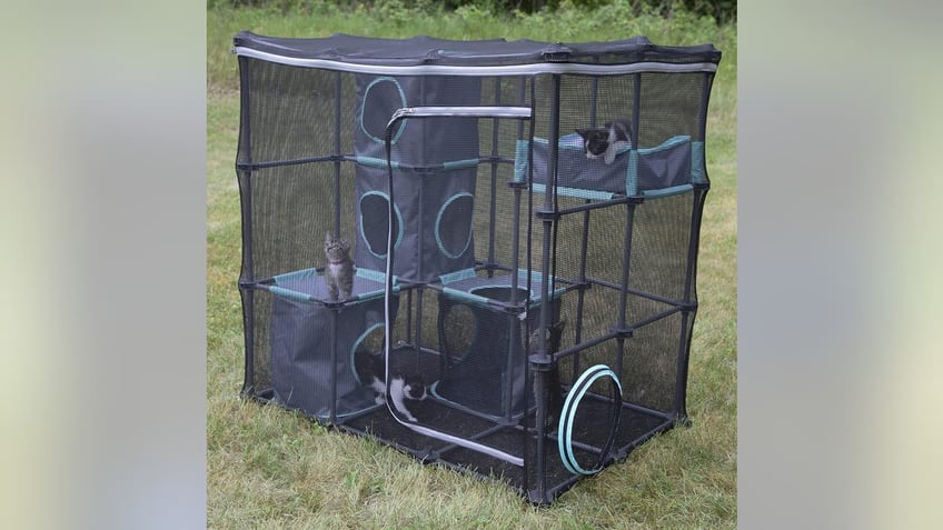 Easily move the catio to wherever you are when you get a mesh, pop-up option. 