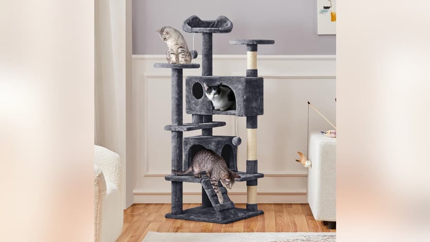 Provide some fun in the catio with a cat tree. 