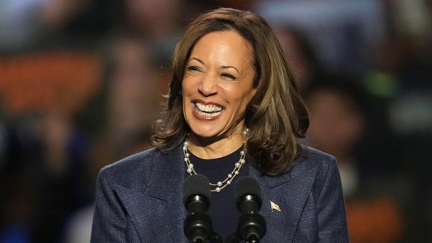 Kamala Harris in Michigan, smiling