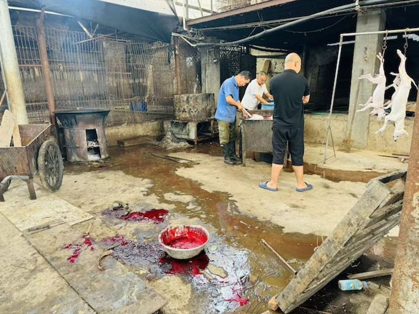 Yulin lychee and dog meat festival 2024 in Yulin, Guangxi, China