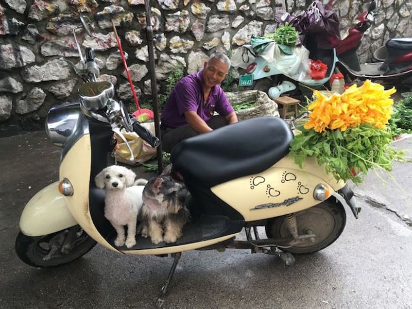 A man sits behind his pet dogs near a restaurant which serves dog meat in Yulin, in China's southern Guangxi region on June 21, 2017. China's most notorious dog meat festival opened in Yulin on June 21 with butchers hacking slabs of canines and cooks frying the flesh following rumours that authorities would impose a ban this year. / AFP PHOTO / BECKY DAVIS (Photo credit should read BECKY DAVIS/AFP via Getty Images)