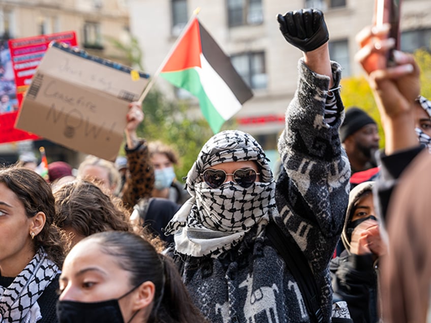 NEW YORK, NEW YORK - NOVEMBER 15: Students participate in a protest in support of Palestin