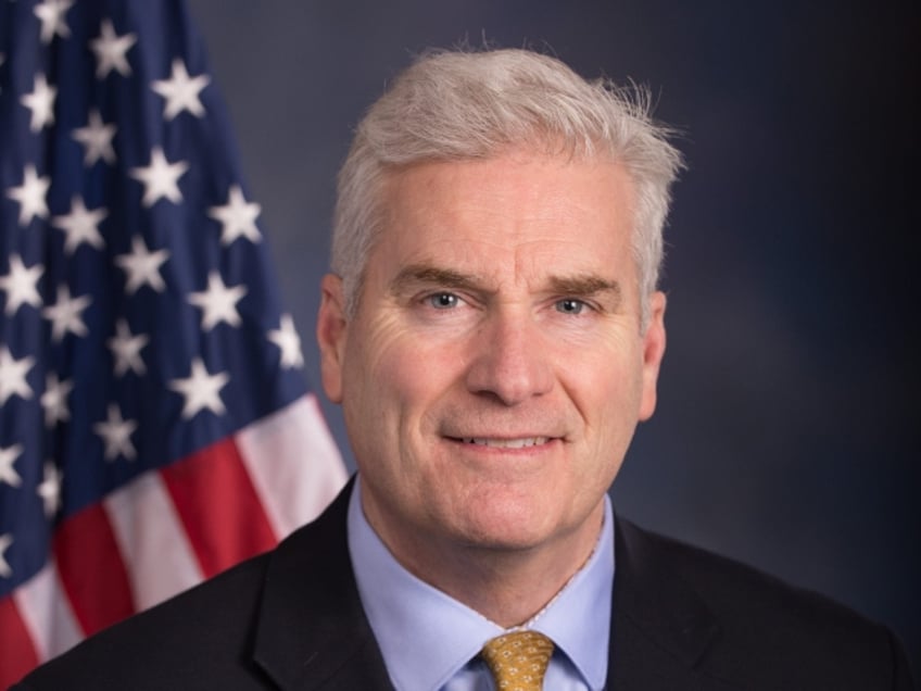 exclusive mn rep tom emmer on tim walz jd will eat this human being alive