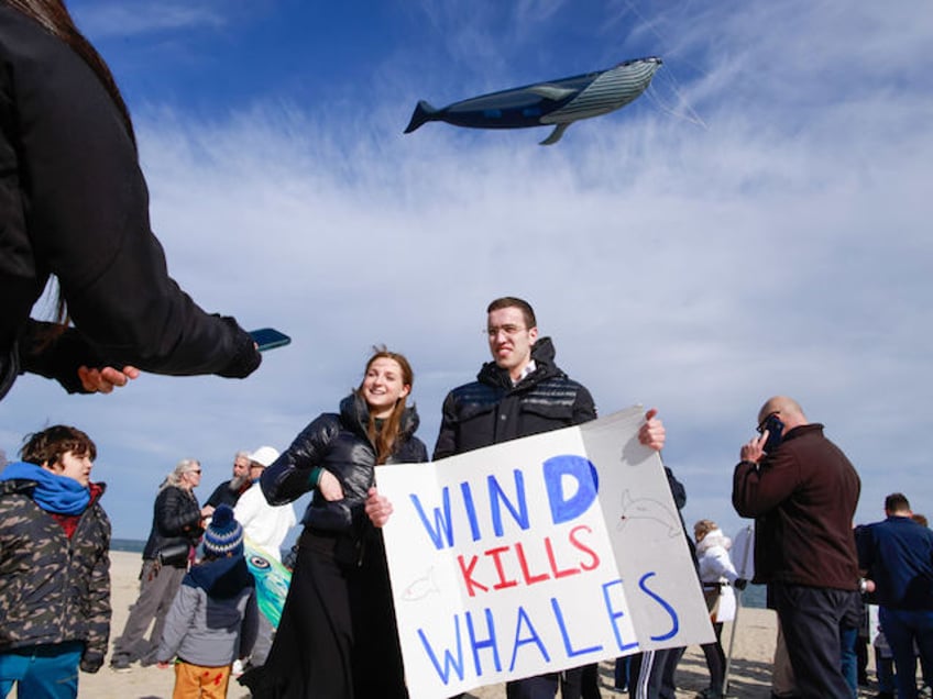 exclusive nj fishing pros warn offshore wind killing ocean life never seen anything remotely like this in half a century