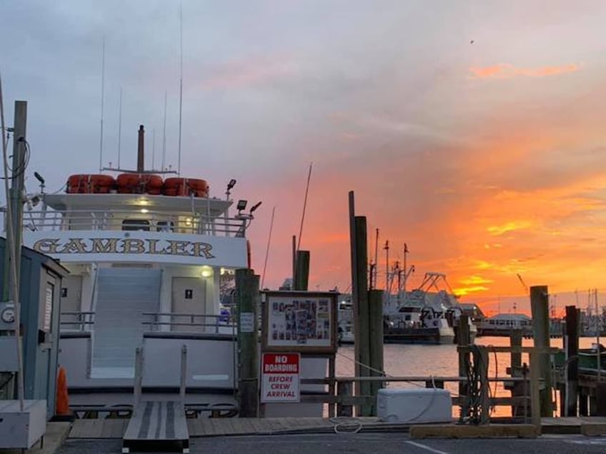 exclusive nj fishing pros warn offshore wind killing ocean life never seen anything remotely like this in half a century