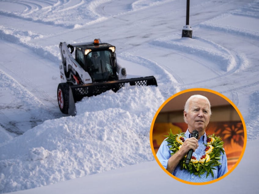 exclusive republican whip tom emmer biden blunders in maui as predictable as a snowy minnesota winter