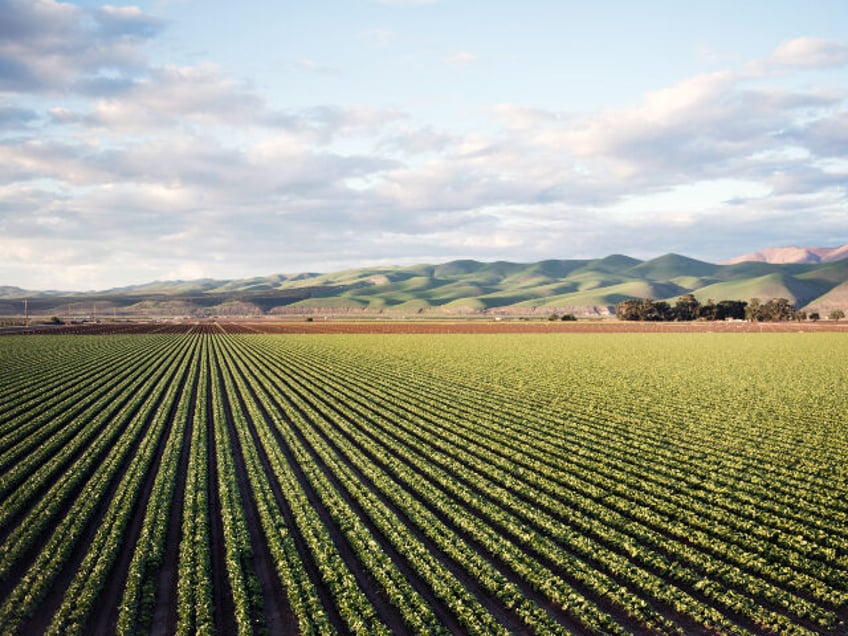 Tim Mossholder https://www.pexels.com/photo/photo-of-green-field-near-mountains-974314/