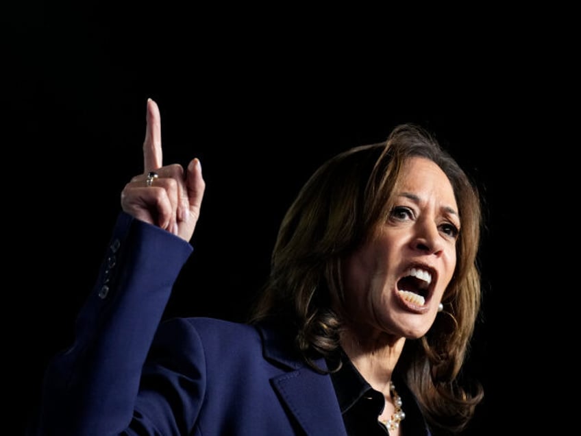 Democratic presidential nominee Vice President Kamala Harris speaks during a campaign rall