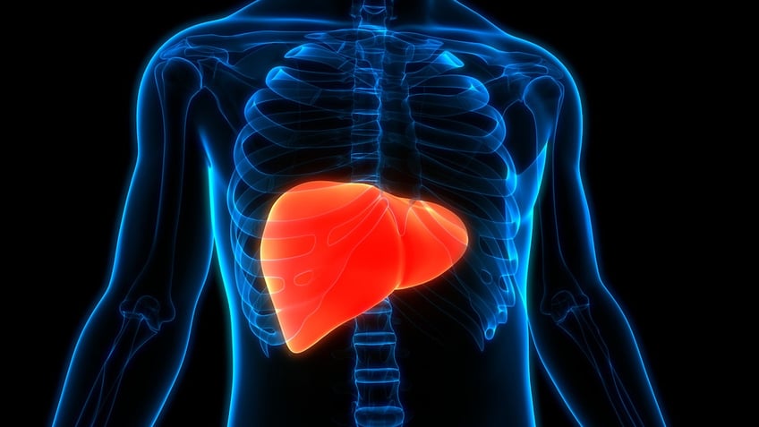 experimental weight loss drug could help treat fatty liver disease in people with obesity study finds