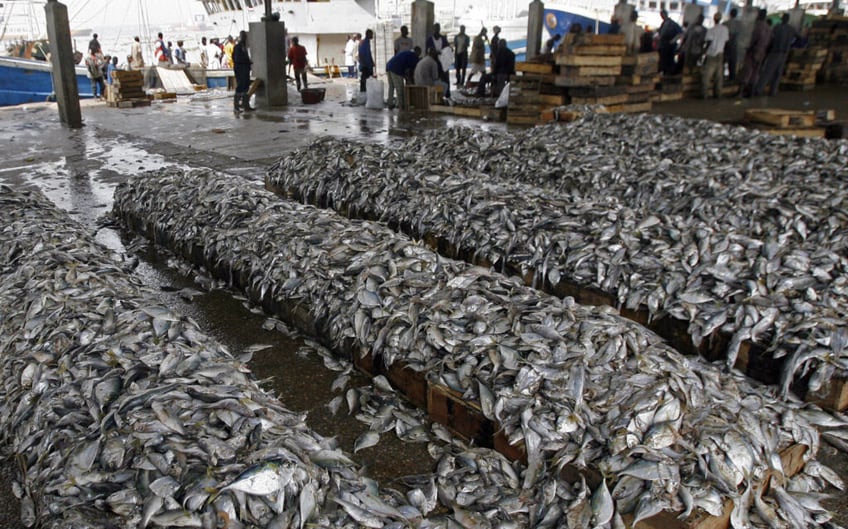 experts tell congress us seafood industry tainted by uyghur north korean slavery