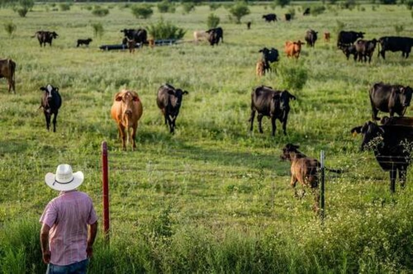 experts warn mass migration threatens us food security