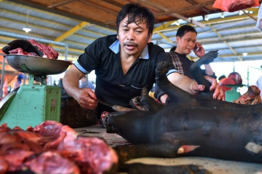 extreme indonesian market ends dog cat meat trade