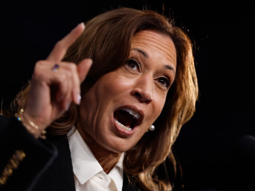 Democratic presidential candidate, Vice President Kamala Harris speaks during a campaign r