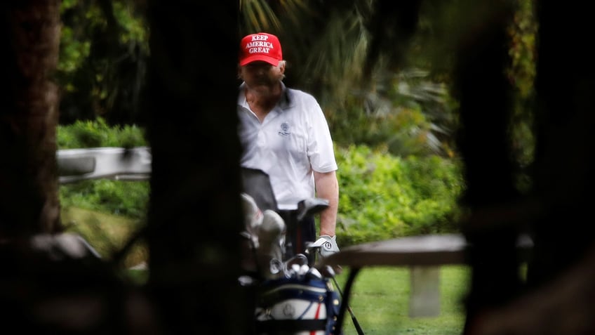 Donald Trump seen through the bushes playing golf