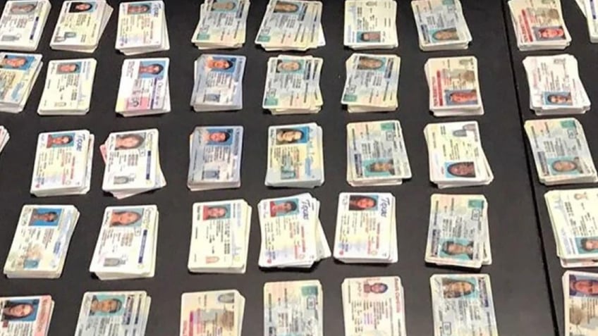 Fake U.S. licenses seized by CBP agents that were headed to New York from China last fall. 