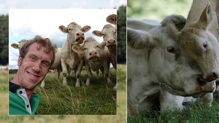 family farmer warns harsh climate policies to cut cow emissions will destroy business in the netherlands