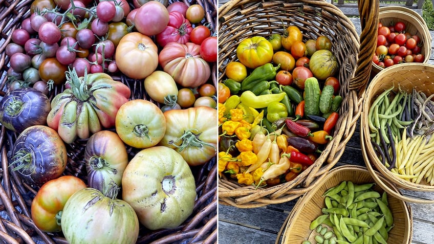 Among the vegetables grown in Christen McCoy's garden are peppers, beans and tomatoes.