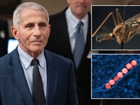 Fauci says West Nile Virus was a ‘harrowing’ experience: ‘Afraid I would never recover’