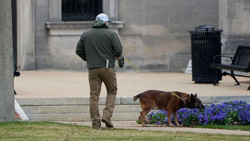 Police dog sniffs