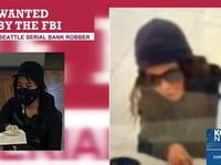 FBI Seeking Public's Help In Identifying 