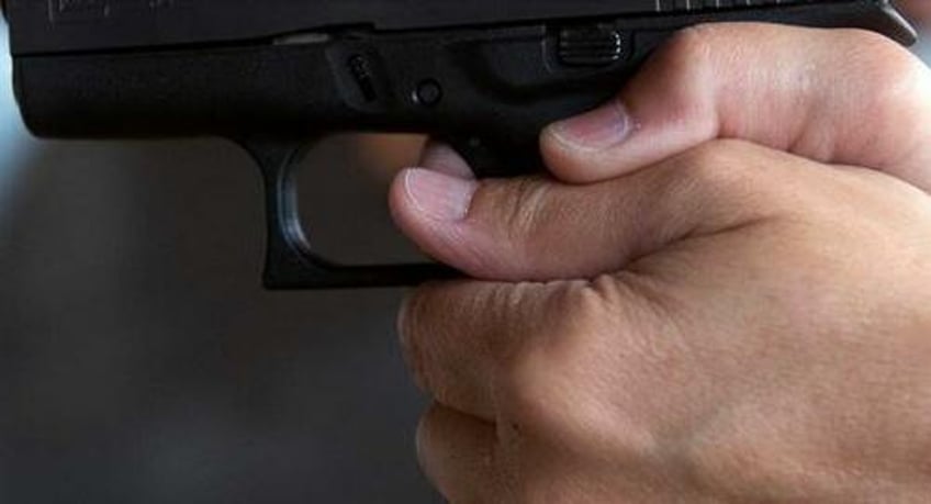 federal appeals court illegal aliens do not have 2nd amendment rights