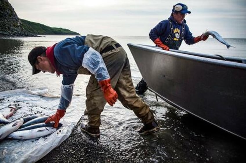 federal appeals court reverses decision keeps alaska salmon fishery open