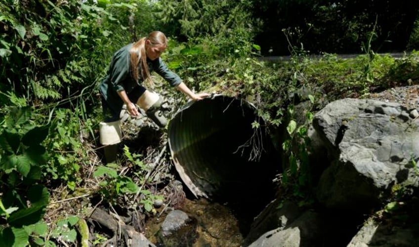 federal grants will replace tunnels beneath roads that let water pass but not fish